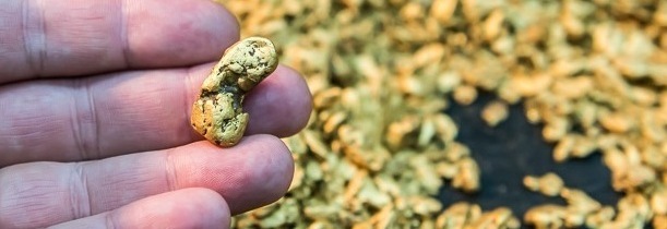 Самородки золота добытые Колымскими старателями на россыпных месторождениях Магаданской области. Золотые самородки, разного размера и конфигурации, которые в дальнейшем будут дополнять ювелирную композицию, созданную мастерами-ювелирами.